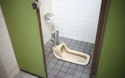 7 Alternatives to a Raised Toilet Seat for Seniors Who Rent and Can’t Modify the Home