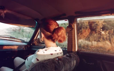 Seat Belt Helpers We Recommend for Seniors in 2026
