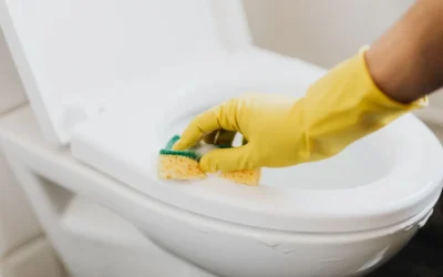 Toilet Frames for Arthritis Support in 2026