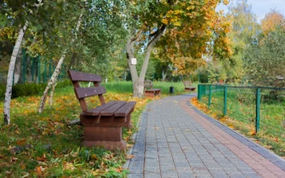 How to Choose a Bariatric Transfer Bench for Low Vision Seniors in 2026