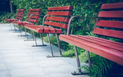 How to Choose Bariatric Transfer Bench for Seniors Living Alone 2026