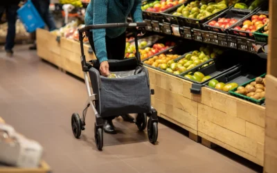 Walker vs Rollator for Stroke Recovery 2026: 7 Options Compared