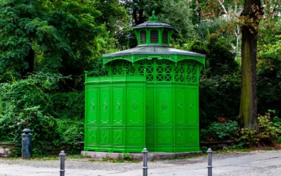 Travel Toilet Arthritis Fixes